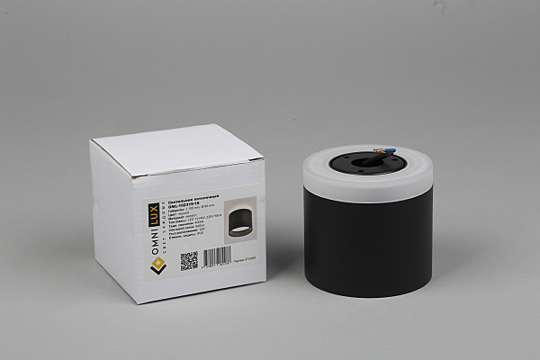 Накладной светильник Tures OML-102319-16