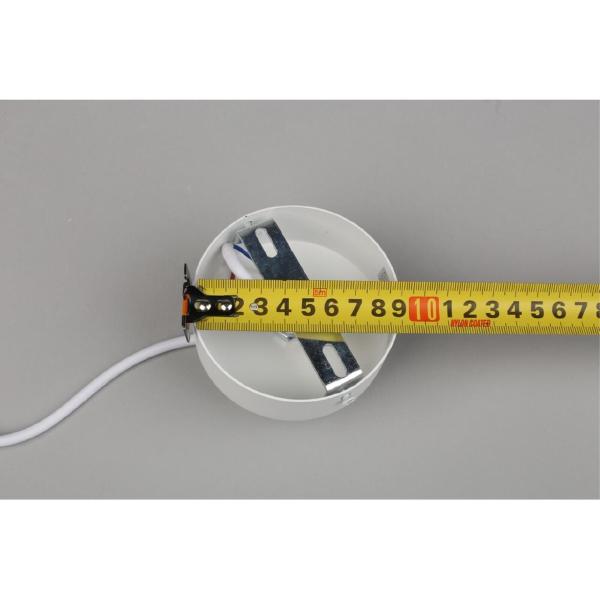 Светильник подвесной Licola OML-102506-10