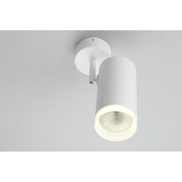 Светильник спот Maratea OML-102609-20