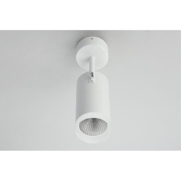 Светильник спот Maratea OML-102609-20