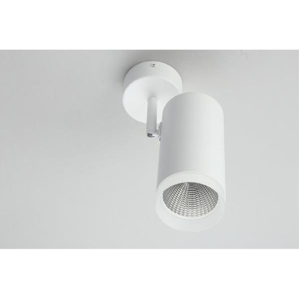 Светильник спот Maratea OML-102609-20