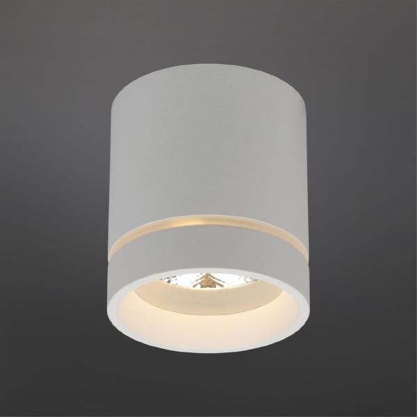 Накладной светильник Gita APL.0043.09.05