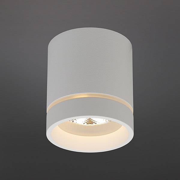 Накладной светильник Gita APL.0043.09.05