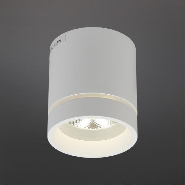 Накладной светильник Gita APL.0044.09.05