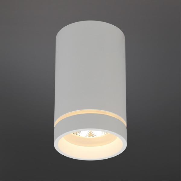 Накладной светильник Edda APL.0053.09.10