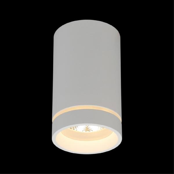 Накладной светильник Edda APL.0053.09.10