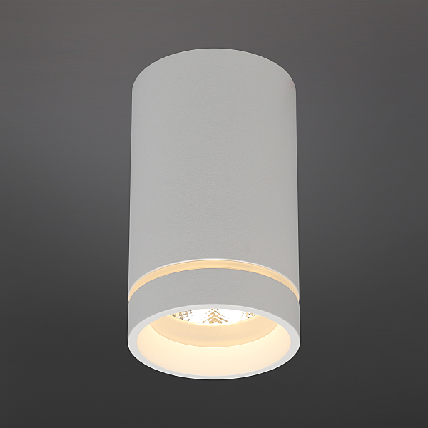 Накладной светильник Edda APL.0053.09.10