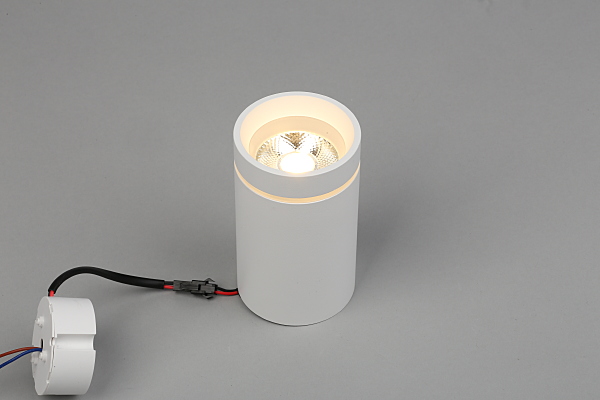 Накладной светильник Edda APL.0053.09.10