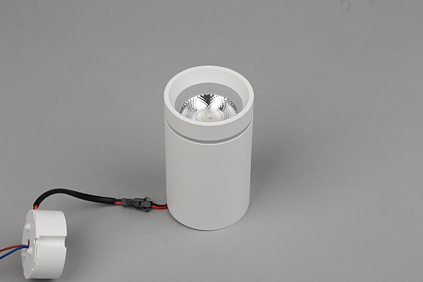 Накладной светильник Edda APL.0053.09.10