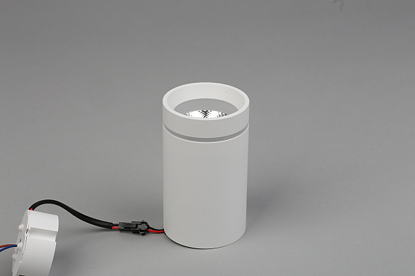 Накладной светильник Edda APL.0053.09.10