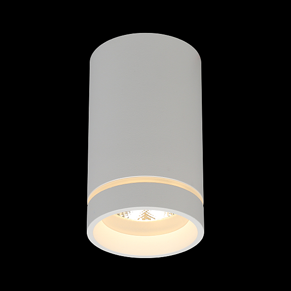 Накладной светильник Edda APL.0053.09.10