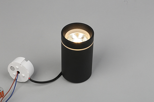 Накладной светильник Edda APL.0053.19.10