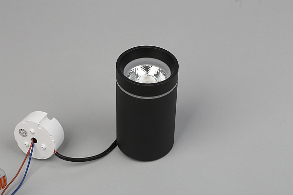 Накладной светильник Edda APL.0053.19.10