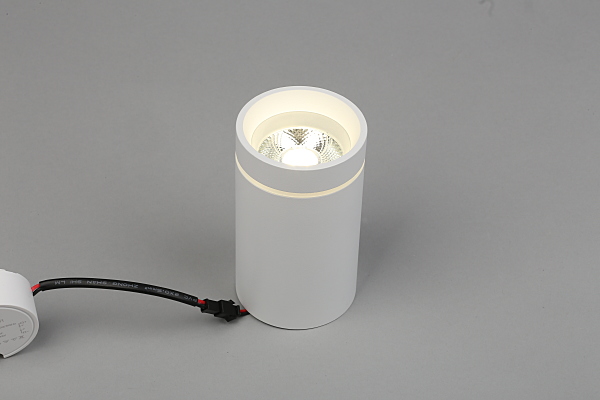 Накладной светильник Edda APL.0054.09.10