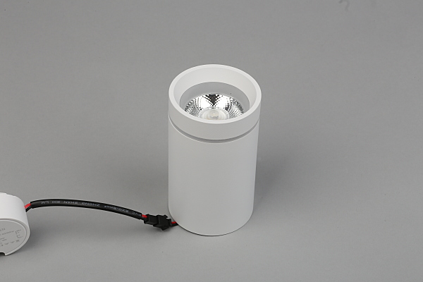 Накладной светильник Edda APL.0054.09.10