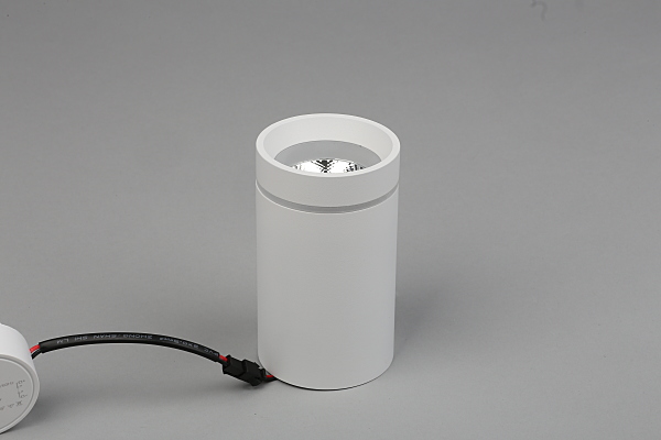 Накладной светильник Edda APL.0054.09.10