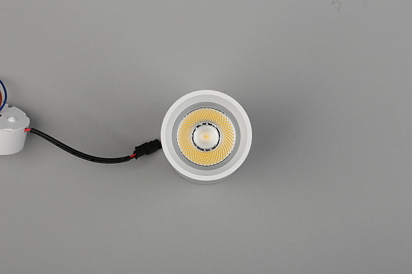 Накладной светильник Edda APL.0054.09.10