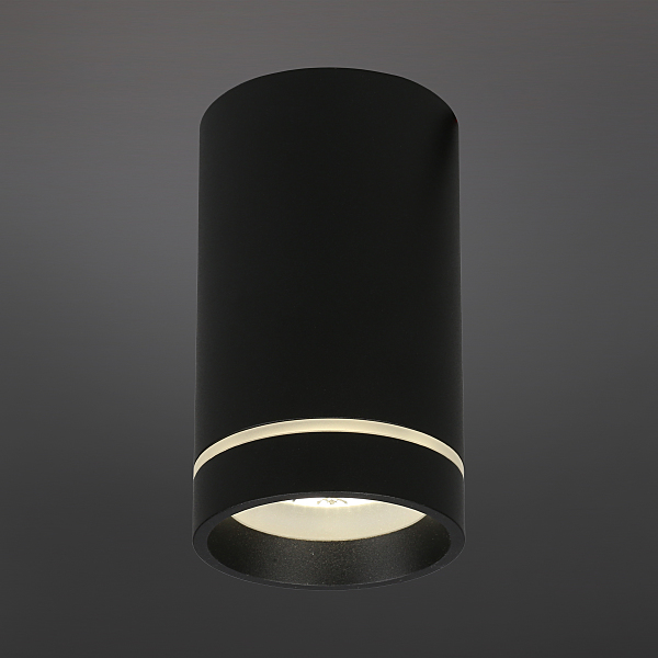 Накладной светильник Edda APL.0054.19.10