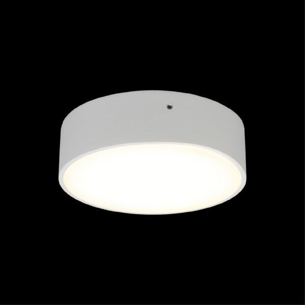 Светильник потолочный Evon APL.0113.09.12