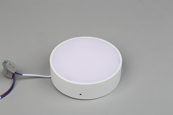 Светильник потолочный Evon APL.0113.09.12