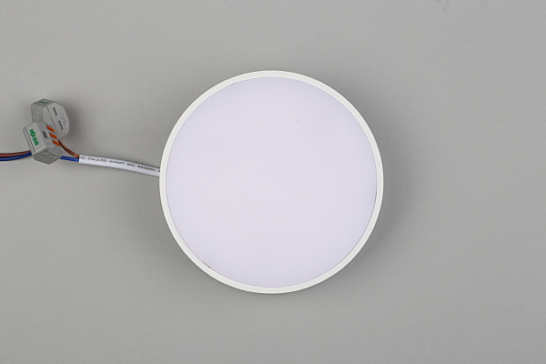 Светильник потолочный Evon APL.0113.09.12