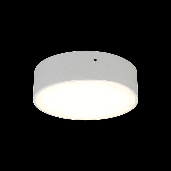 Светильник потолочный Evon APL.0113.09.12