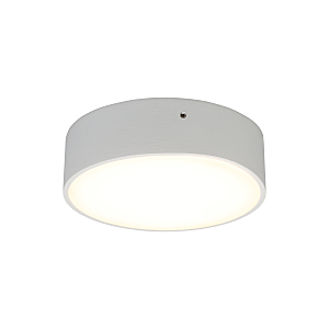 Светильник потолочный Evon APL.0113.09.12