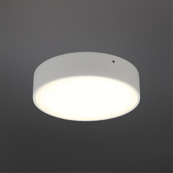 Светильник потолочный Evon APL.0113.09.18