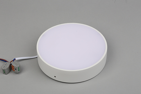 Светильник потолочный Evon APL.0113.09.18