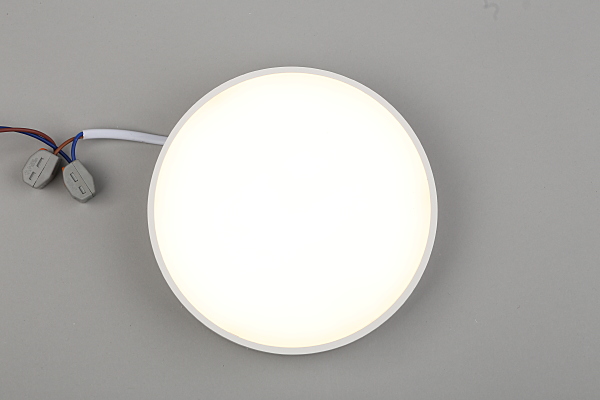 Светильник потолочный Evon APL.0113.09.18