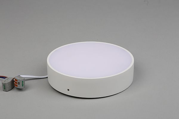 Светильник потолочный Evon APL.0113.09.18