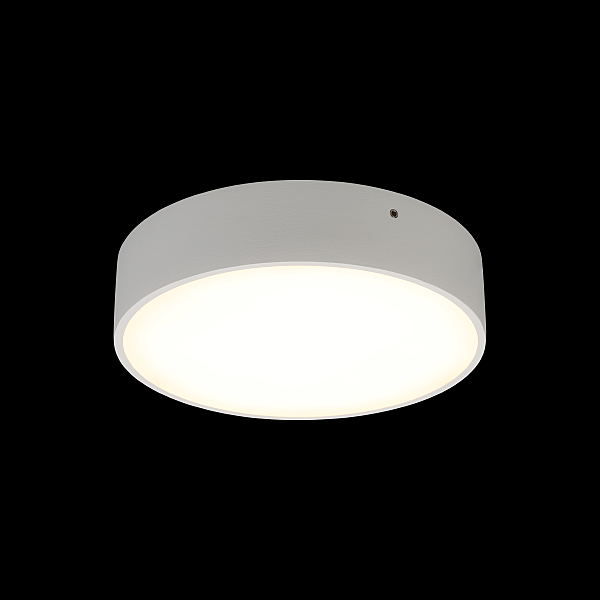 Светильник потолочный Evon APL.0113.09.18