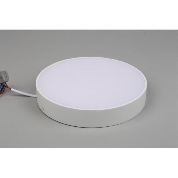 Светильник потолочный Evon APL.0113.09.24