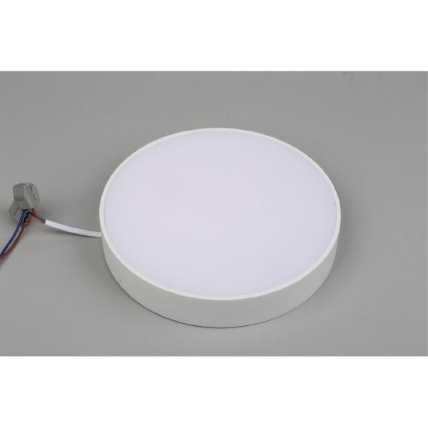 Светильник потолочный Evon APL.0113.09.24