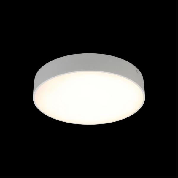 Светильник потолочный Evon APL.0113.09.24