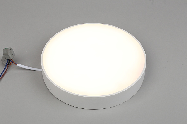 Светильник потолочный Evon APL.0113.09.24