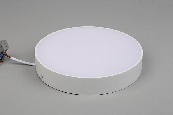 Светильник потолочный Evon APL.0113.09.24