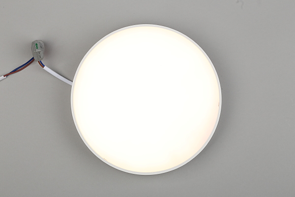 Светильник потолочный Evon APL.0113.09.24