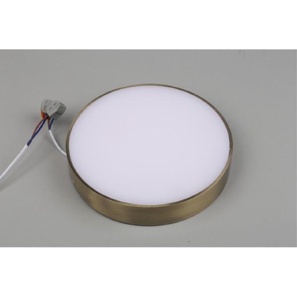 Светильник потолочный Evon APL.0113.29.24