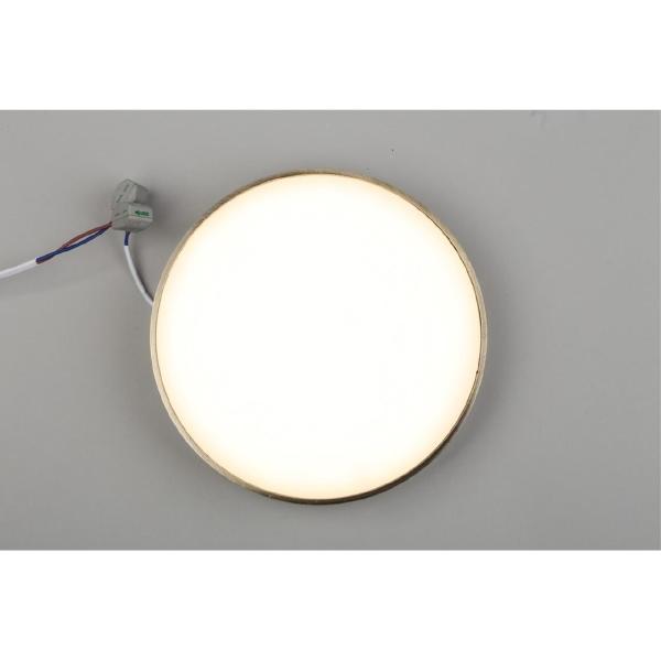 Светильник потолочный Evon APL.0113.29.24