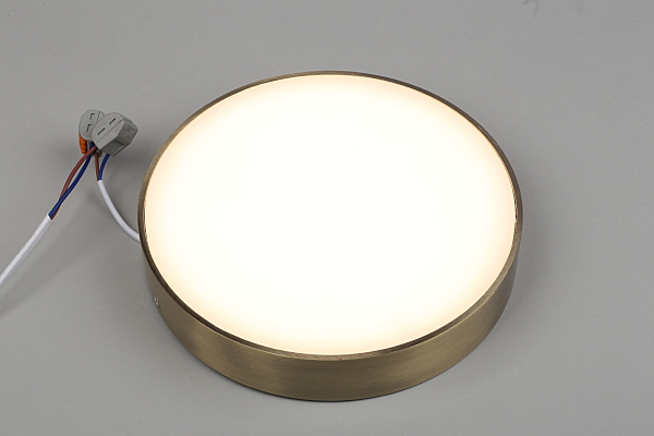 Светильник потолочный Evon APL.0113.29.24