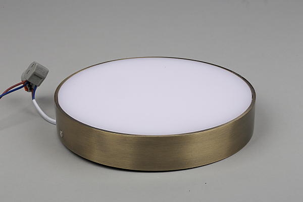 Светильник потолочный Evon APL.0113.29.24