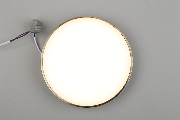 Светильник потолочный Evon APL.0113.29.24