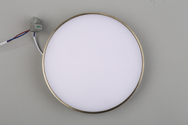 Светильник потолочный Evon APL.0113.29.24