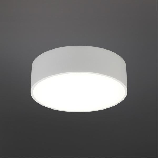 Светильник потолочный Evon APL.0114.09.12