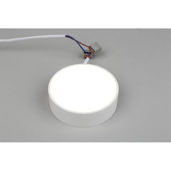 Светильник потолочный Evon APL.0114.09.12