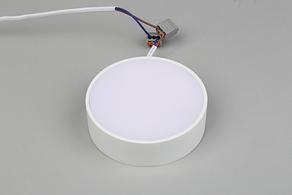 Светильник потолочный Evon APL.0114.09.12