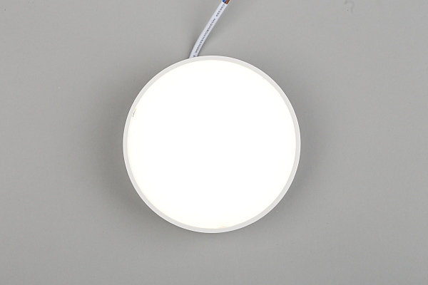 Светильник потолочный Evon APL.0114.09.12