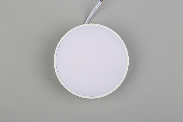 Светильник потолочный Evon APL.0114.09.12