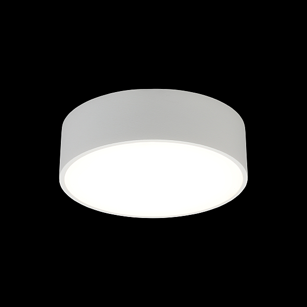 Светильник потолочный Evon APL.0114.09.12